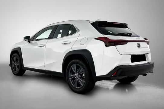 Lexus UX 300h Business
