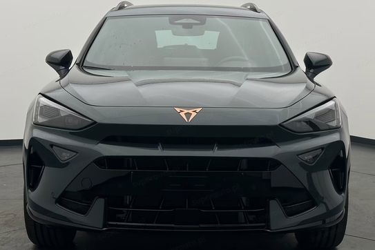 Cupra Formentor 2.0 TSI 4Drive DSG