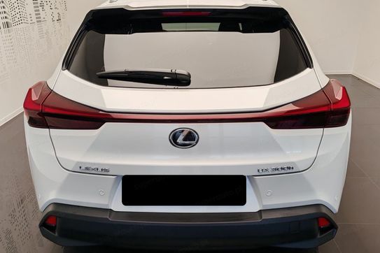 Lexus UX 300h Business 2.0 Hybrid Dynamic Force