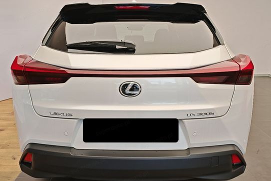 Lexus UX 300h Business 2.0 Hybrid Dynamic Force