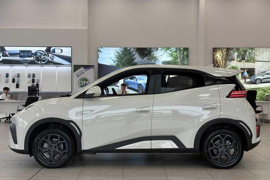 BYD Dolphin Surf Boost