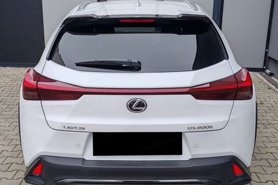 Lexus UX 300h F Sport Design 2.0 Hybrid Dynamic Force