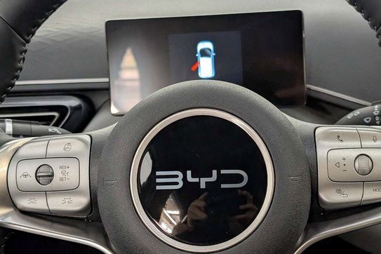 BYD Dolphin Surf Boost