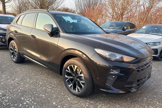 Cupra Terramar 2.0 TSI DSG 4Drive