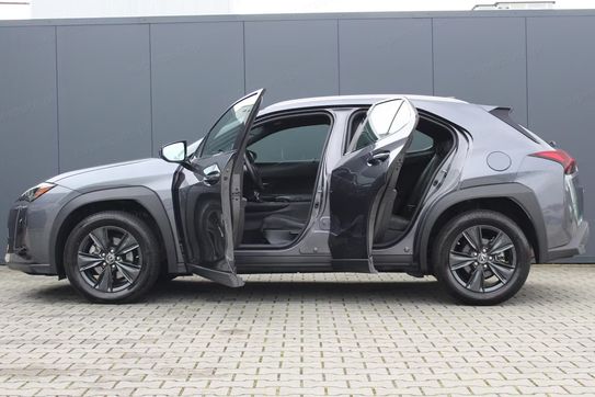 Lexus UX 300h Business