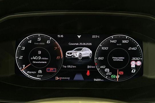 Cupra Formentor 2.0 TSI  DSG