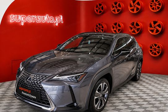 Lexus UX 300h Business