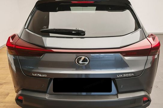 Lexus UX 300h Business 2.0 Hybrid Dynamic Force