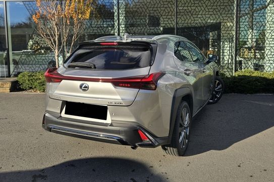 Lexus UX 300h F Sport Design 2.0 Hybrid Dynamic Force