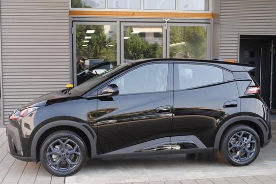 BYD Dolphin Surf Boost