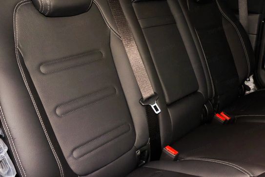 Mercedes Klasa G 450 d  Edycja Professional