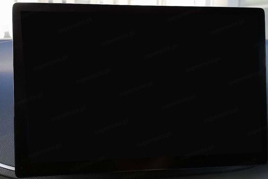 BYD Dolphin Surf Boost