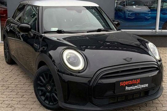 Mini Mini Standard