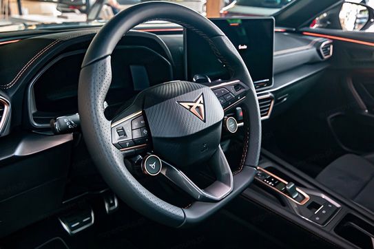 Cupra Formentor 2.0 TDI DSG