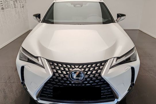 Lexus UX 300h Business 2.0 Hybrid Dynamic Force