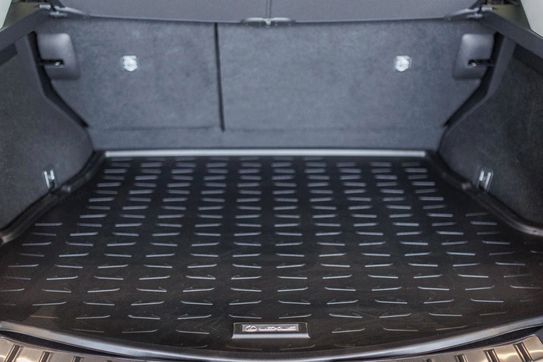 Lexus NX 350h Omotenashi AWD