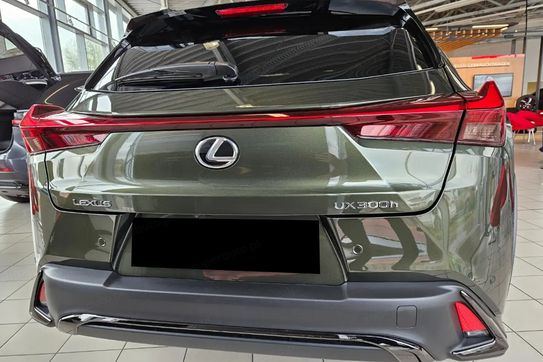 Lexus UX 300h F Sport Design 2.0 Hybrid Dynamic Force