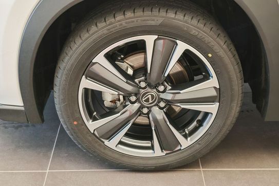 Lexus UX 300h Business 2.0 Hybrid Dynamic Force