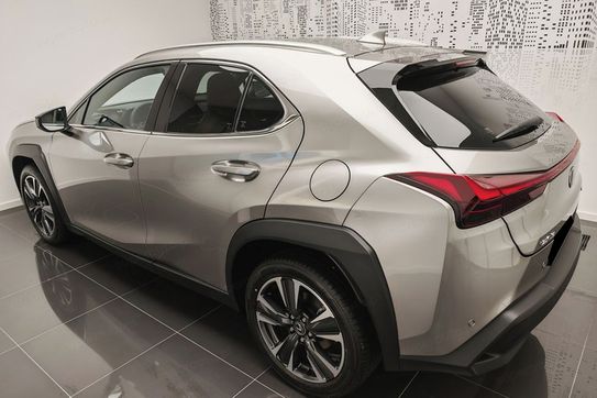 Lexus UX 300h Business 2.0 Hybrid Dynamic Force