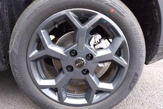 BYD Dolphin Surf Boost