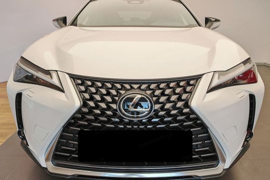 Lexus UX 300h Business 2.0 Hybrid Dynamic Force