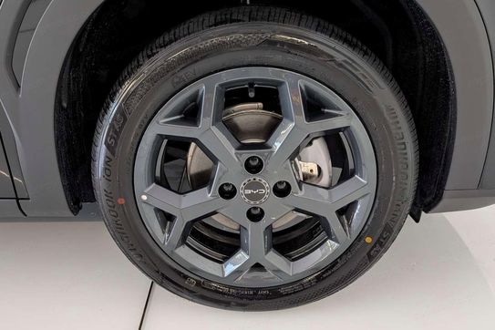 BYD Dolphin Surf Boost