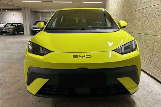 BYD Dolphin Surf Boost