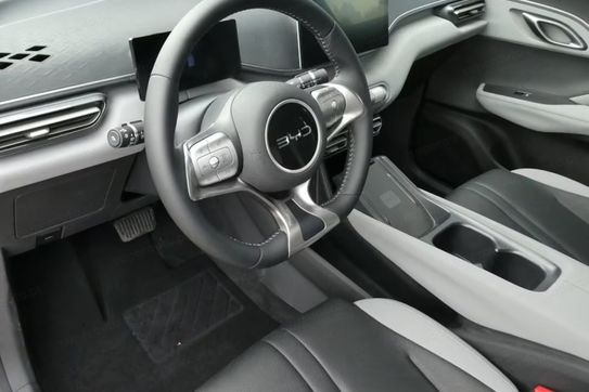 BYD Dolphin Surf Comfort