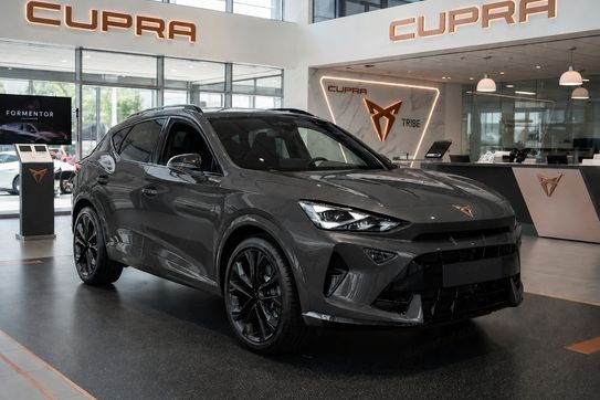 Cupra Formentor 2.0 TSI 4Drive DSG