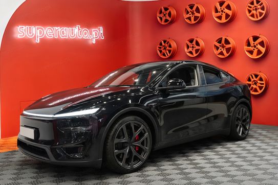 Tesla Model Y Performance