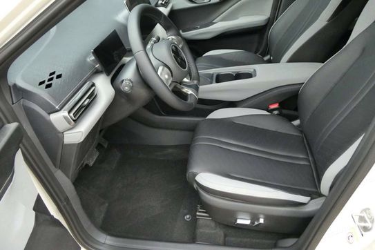 BYD Dolphin Surf Comfort