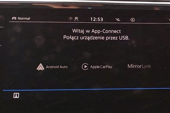 Volkswagen Tiguan 2.0 TSI 4Mot Elegance DSG