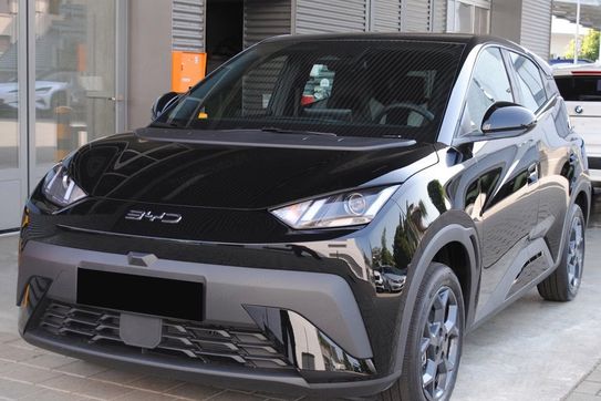 BYD Dolphin Surf Boost