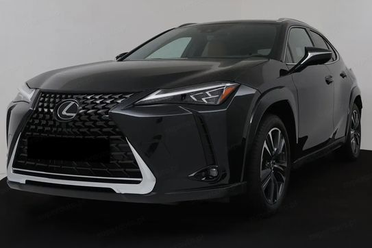 Lexus UX 300h Business 2.0 Hybrid Dynamic Force