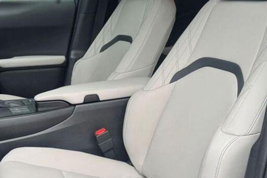 Lexus UX 300h F Sport Design Full Bitone 2.0 Hybrid Dynamic Force