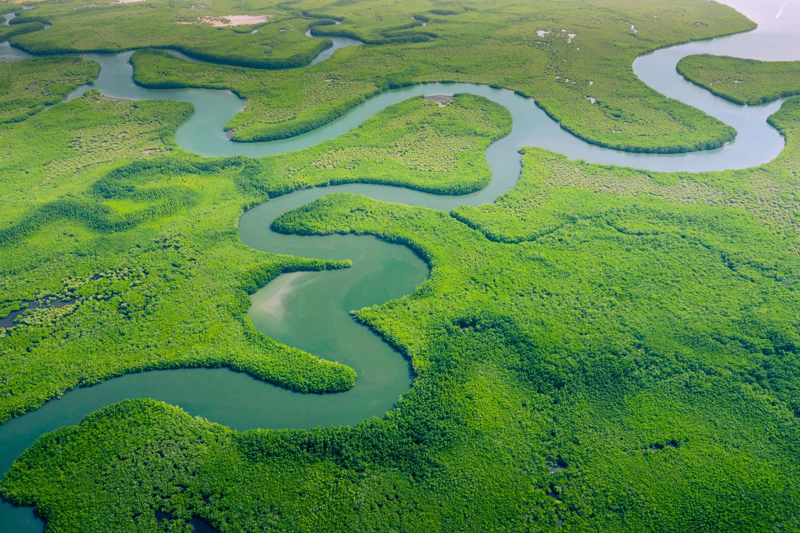 Researchers have scanned Amazon jungle. LiDAR showed something ...