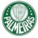 Palmeiras Sao Paulo