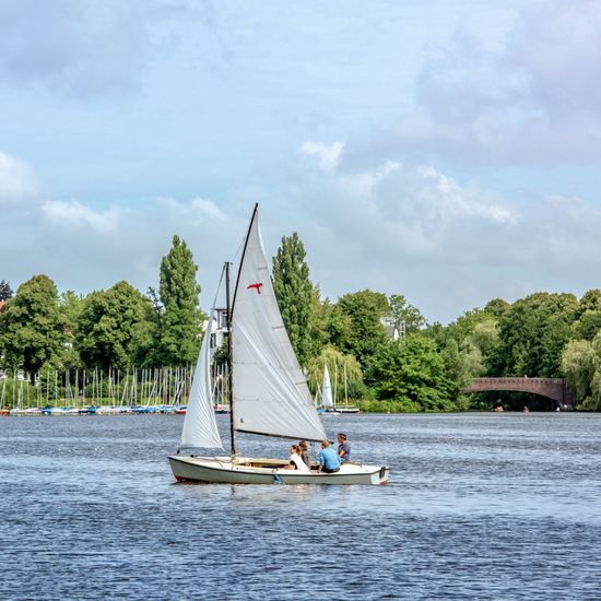 Zielony Hamburg