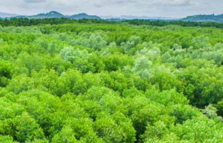 Trzy czwarte Polaków boi się skutków globalnego ocieplenia