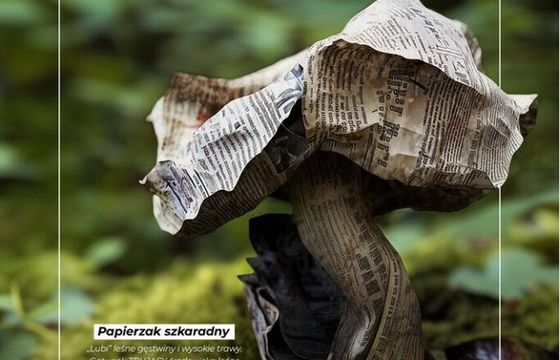 Lasy Państwowe z kampanią wygenerowaną przez AI