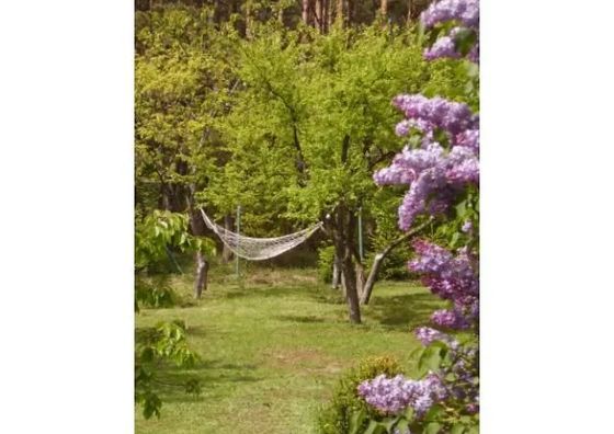 Dom letniskowy w Lewinku