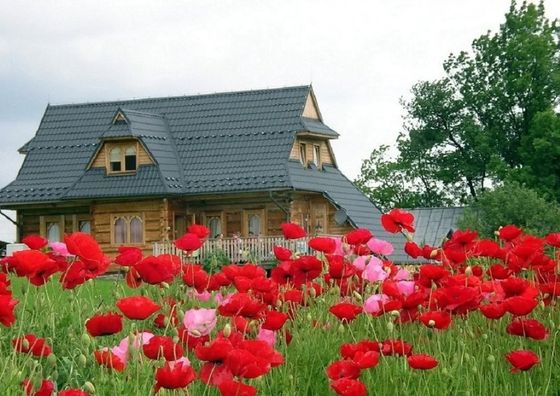 Dom góralski pod owieczkami - Ząb