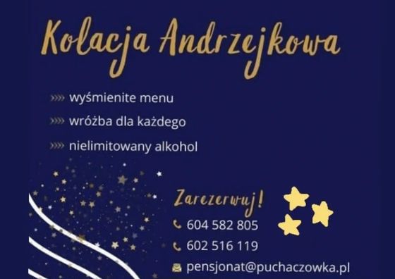 Pensjonat Puchaczówka Stronie Śląskie