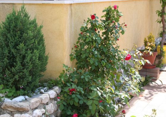 Apartments By The Sea Promajna Makarska - 2674