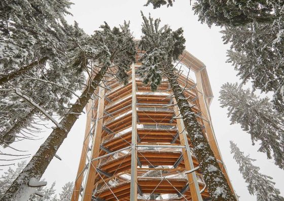 SKI HOTEL Svoboda nad Úpou