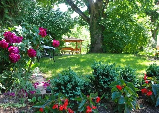 Samoniówka Nałęczów