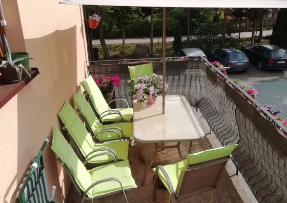 Srebrny Świerk Wambierzyce