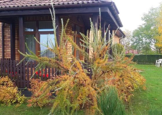 Dom Turysty Na Skarpie Malbork