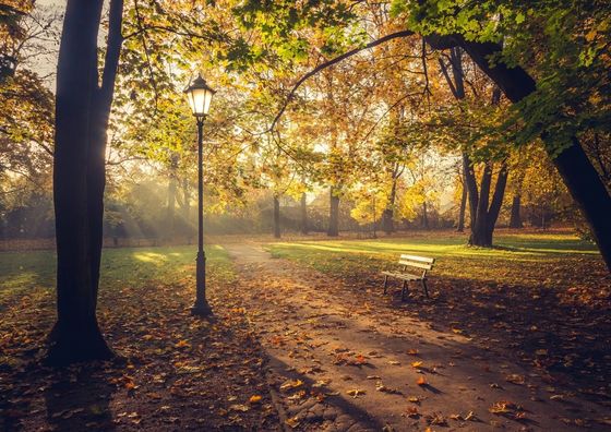 Dream Team Zamoyskiego 4 Bydgoszcz