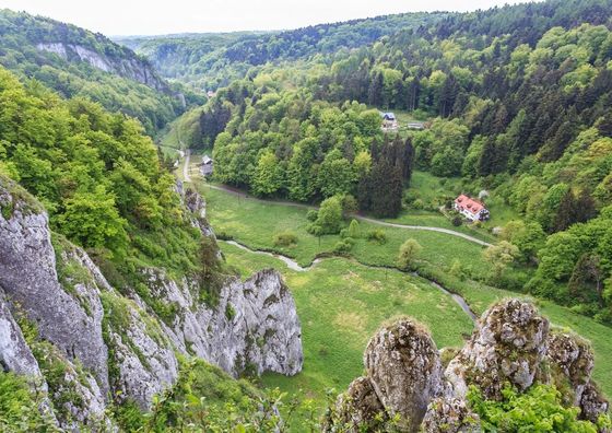 Dream Team Nordic Haven Bydgoszcz